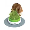 Image de Cat It Jardin D'herbe A Chat Senses 2.0