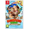 Image de Donkey Kong Country : Tropical Freeze Switch