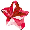 Image de POIDS BALLON ÃTOILE 10CM 150G ROUGE BRILLANT
