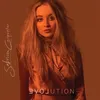 Image de Evolution - Vinyle 33 Tours