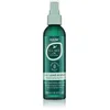 Image de Hask Spray sans rinçage à l'huile d'arbre à thé et au romarin pour cuir chevelu sec avec démangeaisons 175 ml