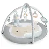 Image de Ingenuity Tapis D'Ã©veil Sheppy's Spot? Plush Activity Gym - Corrie?