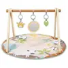 Image de Ingenuity Tapis D'Ã©veil BÃ©bÃ© Pliable Wonderwood, Rond Avec Arche De Jeux En Bois, Mirroir Et Jouets BÃ©bÃ©