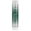 Image de Shampooings Joico  Joifull Volumizing Shampoo P29597764
