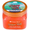 Image de Gommages & peelings Tree Hut  Gommage Au Sucre Bikini Reef P28254271