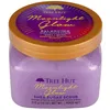 Image de Gommages & peelings Tree Hut  Exfoliante De Azúcar Moonlight Glow P31552819