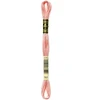 Image de Fil à Broder Mouliné 117MC - couleur 761 - Rose