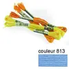 Image de Fil à broder 117 mouliné - couleur 813