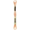 Image de Fil à Broder Mouliné 117MC - couleur 951 - Rose