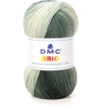 Image de Fil Brio 100 g Gris n°403