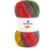 Image de Fil Brio 100 g Automne n°415