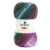 Image de Fil Brio 100 g Améthyste n°418