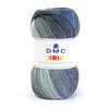 Image de Fil Brio 100 g Bleu n°417