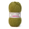 Image de Fil à tricoter Knitty 4 100 g Lichen n°634
