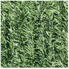 Image de Haie Artificielle Deluxe 126 Brins 6 M - 2 Rouleaux 3 X 2 M - Jardideco