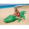 Image de Grand crocodile Ã  chevaucher