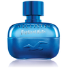 Image de HOLLISTER - Festival Nite - Eau De Toilette - 100ml