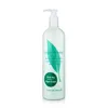 Image de ThÃ© Vert Lotion Pour Le Corps 500 Ml