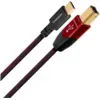 Image de Audioquest Cinnamon USB B vers Type C - Câble USB B vers C de 1,5 m