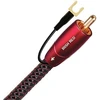 Image de IRISH RED - Câble pour subwoofer