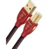Image de Audioquest Cinnamon USB A &gt B - Câble USB A vers B de 0,75 m
