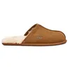 Image de Chaussons UGG M Scuff (chestnut) homme