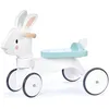 Image de Porteur Lapin