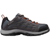 Image de Chaussures Columbia  Crestwood M67351617