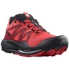 Image de Chaussures Salomon  Pulsar Trail P27074805