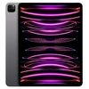 Image de IPAD PRO 12,9 M2 512GO GRIS SIDERAL WI-FI FIN 2022 en occasion ou reconditionné