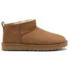 Image de Bottines UGG  classic ultra mini booties brown P32656884