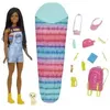 Image de Barbie Dreamhouse Adventures - It Takes Two - Coffret Vive le Camping
