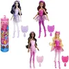 Image de Barbie Color Reveal Doll Assortment