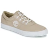 Image de Baskets basses Timberland  Baskets MYLO BAY LOW LACE UP P31963823