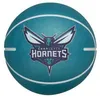Image de Ballon Nba Dribbler Charlotte Hornets