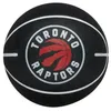 Image de Ballon Nba Dribbler Toronto Raptors