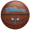 Image de Ballon De Basketball Nba Charlotte Hornets Wilson Team Alliance Exterieur