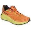 Image de Chaussures Merrell  MORPHLITE M67568187