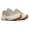 Image de Chaussures Merrell  AGILITY PEAK 5 GTX W P32387521