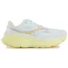 Image de Chaussures Saucony  Guide 19 Formateurs P32847374