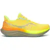 Image de Chaussures de running SAUCONY TRIUMPH 23 (VIZIGOLD/LAUREL ) homme