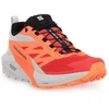 Image de Chaussures Salomon  Sense Ride 5 P26548542