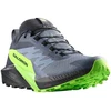 Image de Chaussures Salomon  Sense Ride 5 Gtx P27043683