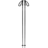Image de Salomon - Bâtons de ski - Polar Access Black en Aluminium - Taille 115 cm - Noir