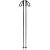 Image de Salomon - Bâtons de ski - Polar Access Black en Aluminium - Taille 135 cm - Noir