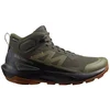 Image de Chaussures Salomon  Elixir Activ P30781893