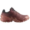 Image de Chaussures Salomon  Speedcross 6 Gtx Gore-tex P28795083