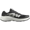 Image de Baskets basses Salomon  Alphaglide M67785172