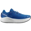 Image de Chaussures Salomon  Aero Glide 3 P29745492