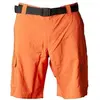 Image de Short Columbia  Short  Silver Ridge Utility P31361600